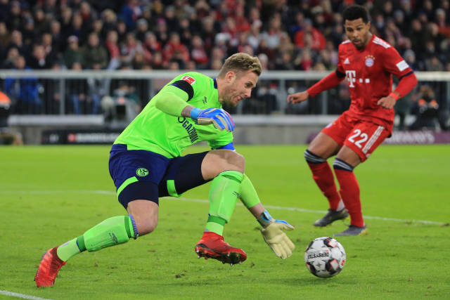 大棠紅葉季 大棠紅葉季